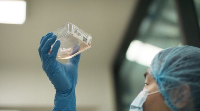 技术人员抬头看着玻璃板中实验室培养的细胞。